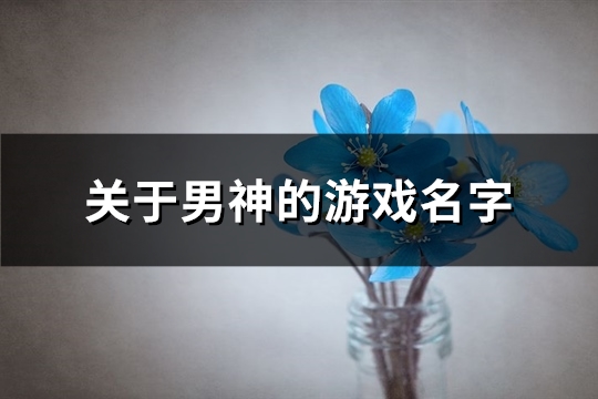 关于男神的游戏名字(优选578个)