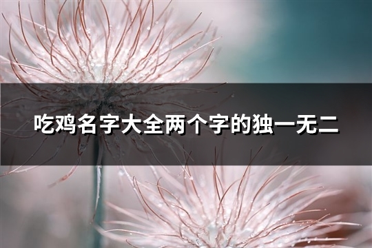 吃鸡名字大全两个字的独一无二(精选832个)