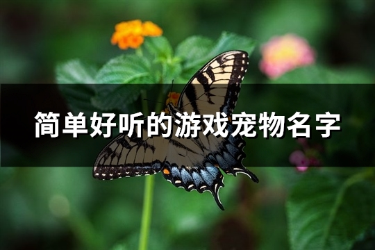 简单好听的游戏宠物名字(精选319个)