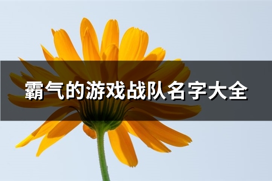 霸气的游戏战队名字大全(共270个)