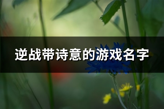 逆战带诗意的游戏名字(507个)