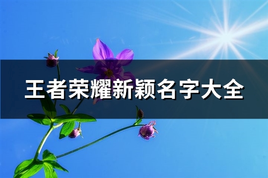 王者荣耀新颖名字大全(352个)