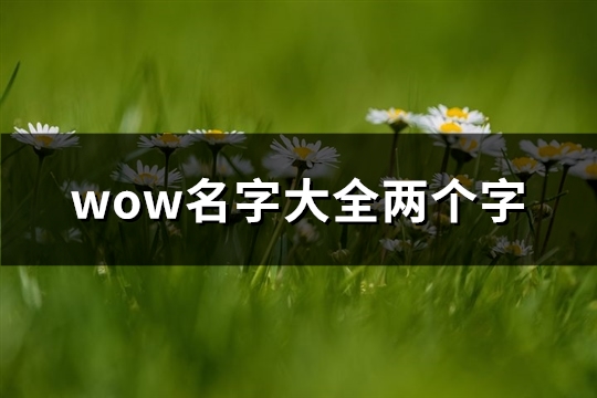 wow名字大全两个字(优选842个)