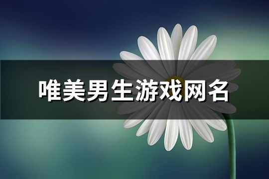 唯美男生游戏网名(共356个)