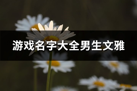 游戏名字大全男生文雅(精选350个)