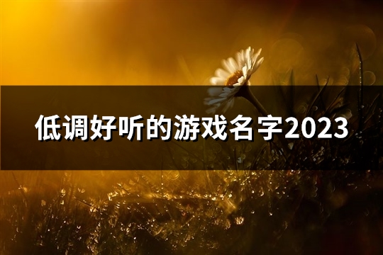 低调好听的游戏名字2023(精选53个)