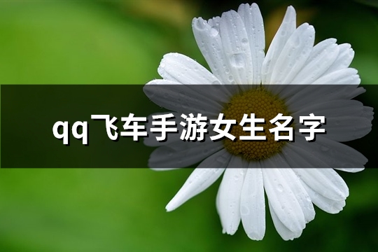 qq飞车手游女生名字(124个)