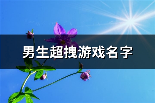 男生超拽游戏名字(520个)