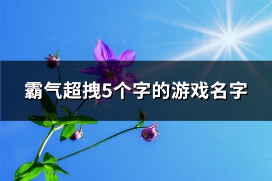 霸气超拽5个字的游戏名字(共565个)