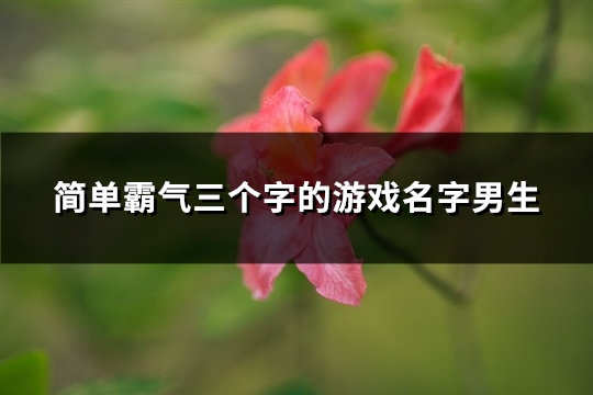 简单霸气三个字的游戏名字男生(精选363个)