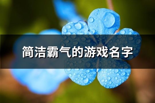 简洁霸气的游戏名字(精选664个)