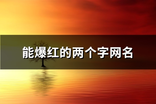 能爆红的两个字网名(精选2124个)