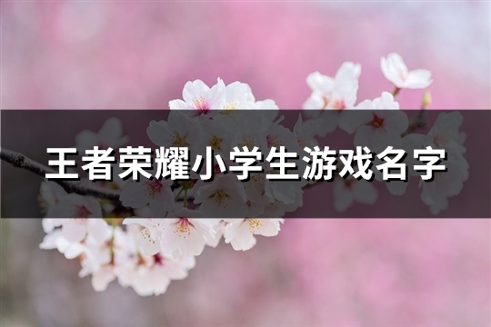 王者荣耀小学生游戏名字(共171个)