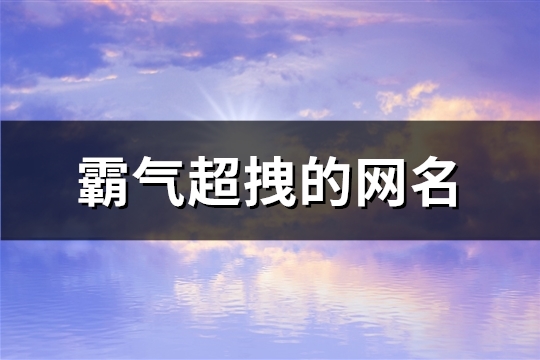 霸气超拽的网名(共747个)