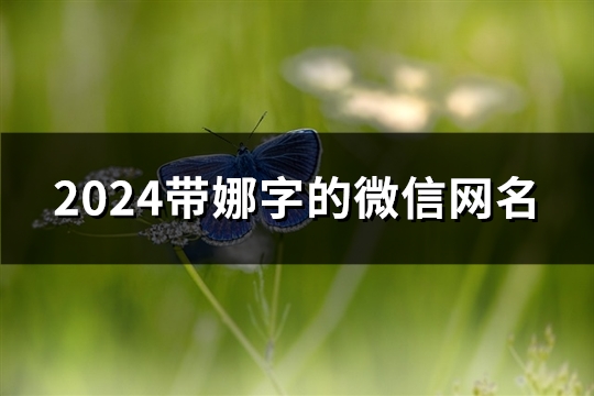 2024带娜字的微信网名(共85个)