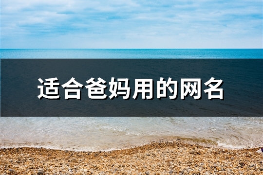 适合爸妈用的网名(336个)