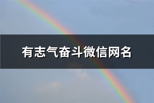 有志气奋斗微信网名(精选702个)