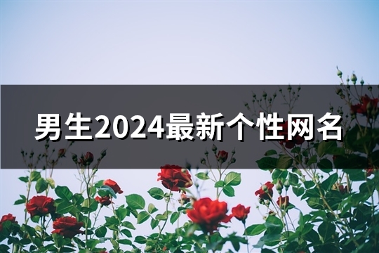 男生2024最新个性网名(共1809个)