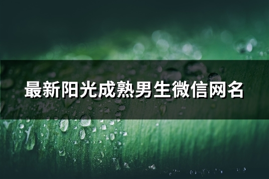 最新阳光成熟男生微信网名(1653个)