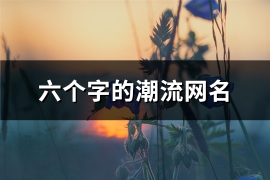 六个字的潮流网名(共1246个)