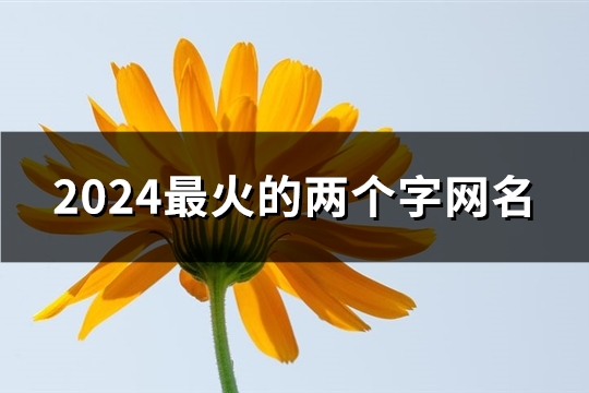 2024最火的两个字网名(共123个)