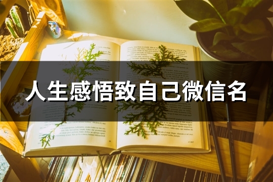 人生感悟致自己微信名(125个)